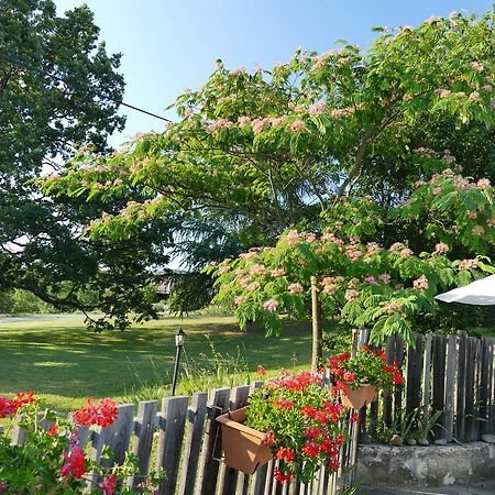 Un Gite De Charme En Haute Provence Villa Sigoyer  Eksteriør billede