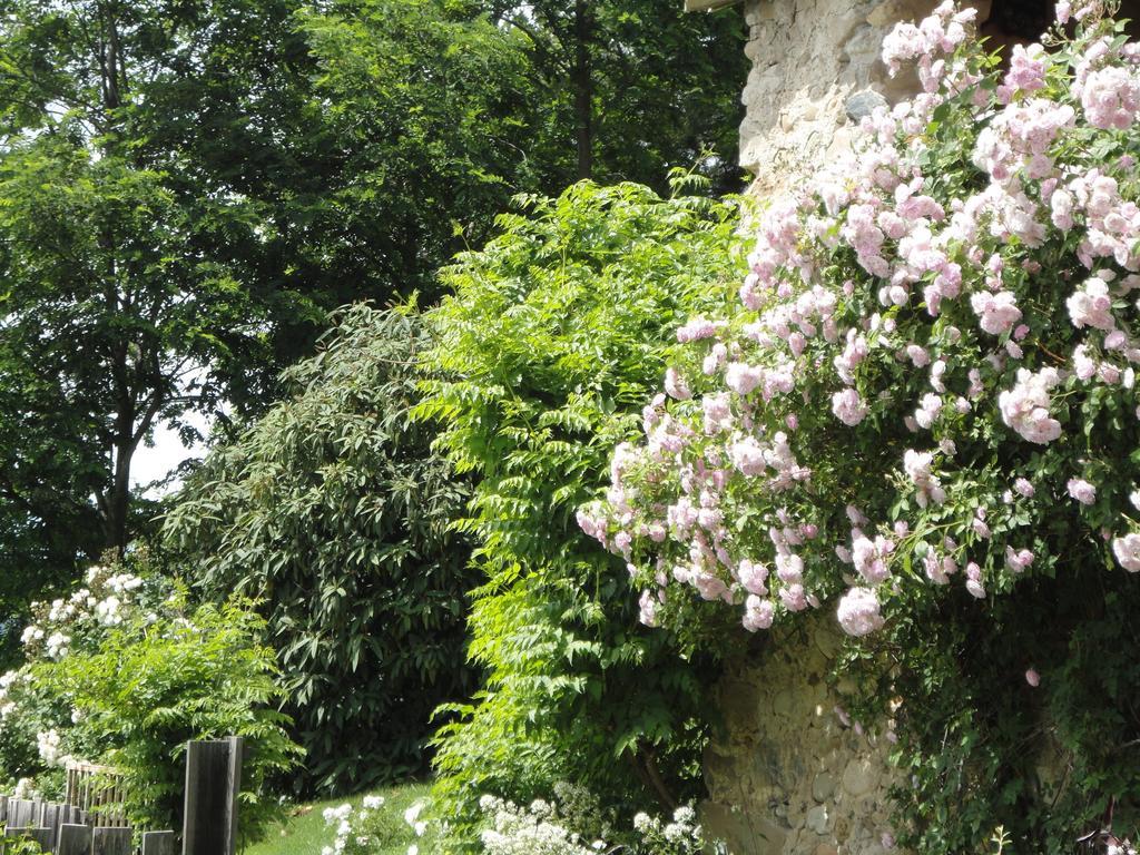 Un Gite De Charme En Haute Provence Villa Sigoyer  Værelse billede