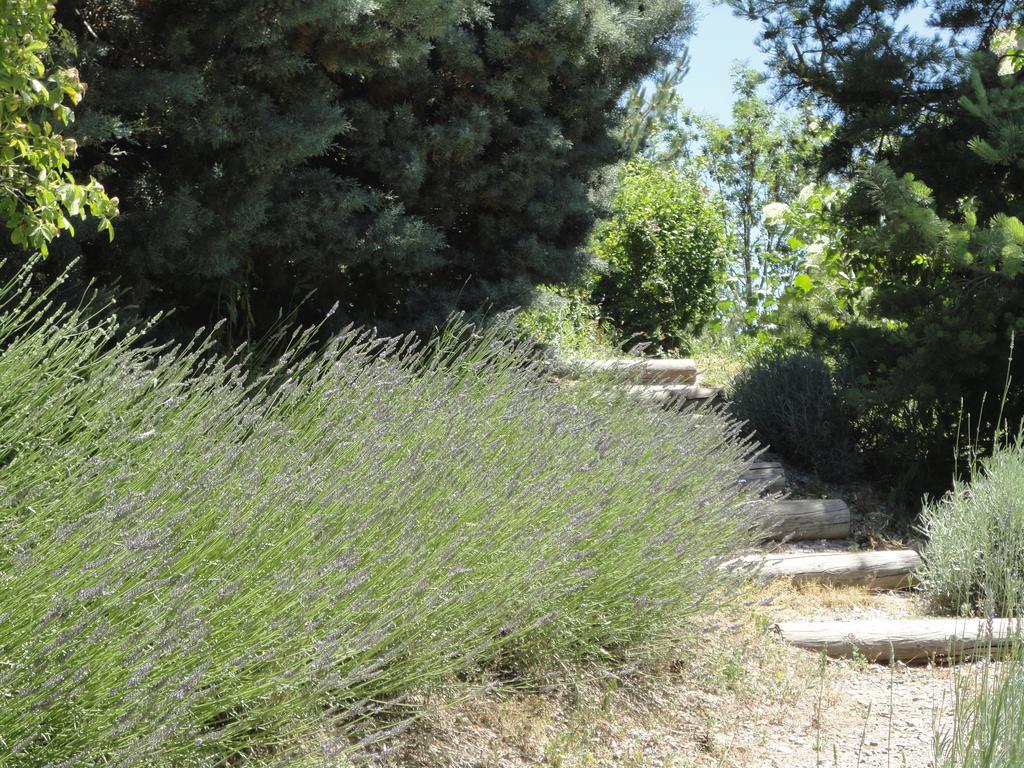 Un Gite De Charme En Haute Provence Villa Sigoyer  Værelse billede