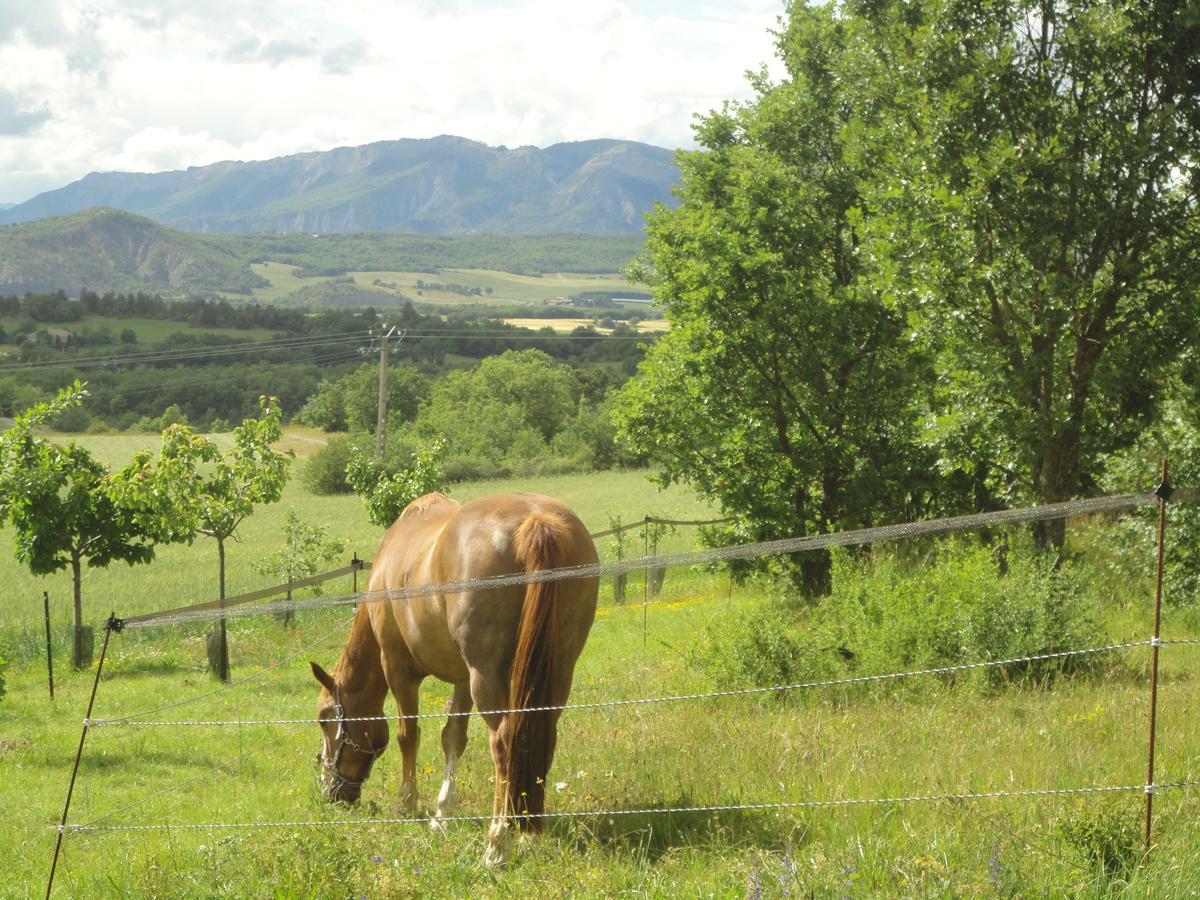 Un Gite De Charme En Haute Provence Villa Sigoyer  Eksteriør billede