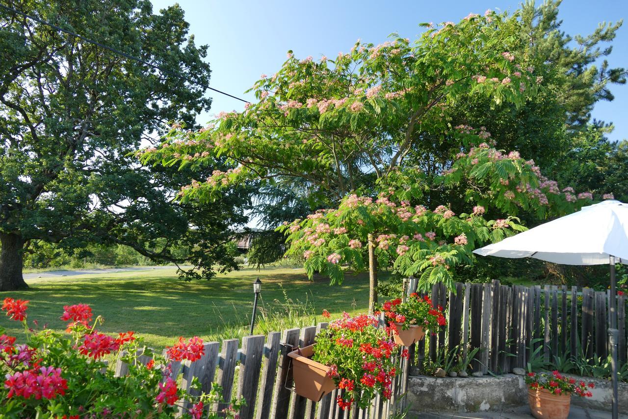 Un Gite De Charme En Haute Provence Villa Sigoyer  Eksteriør billede